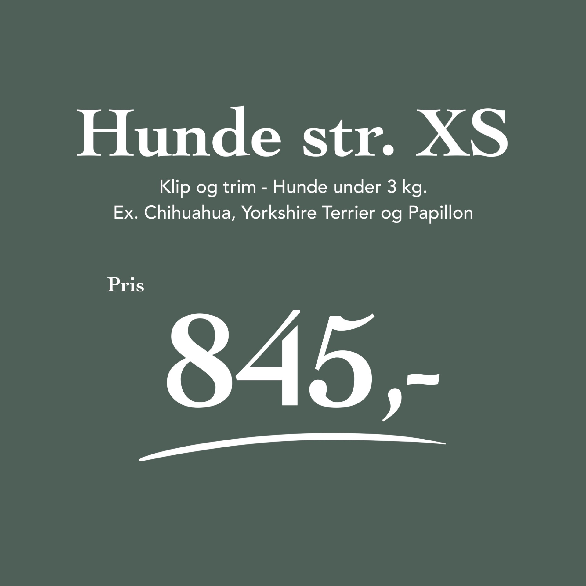 Hunde 0 - 3 kg
