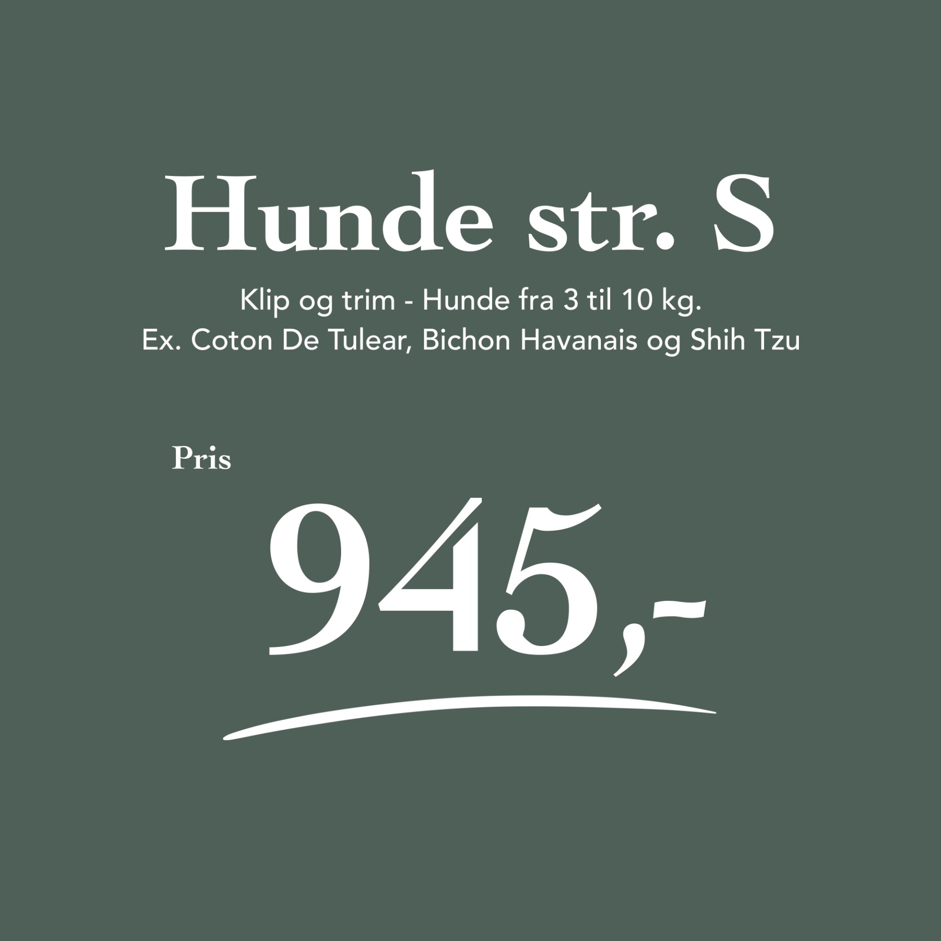 Hunde 3 - 10 kg