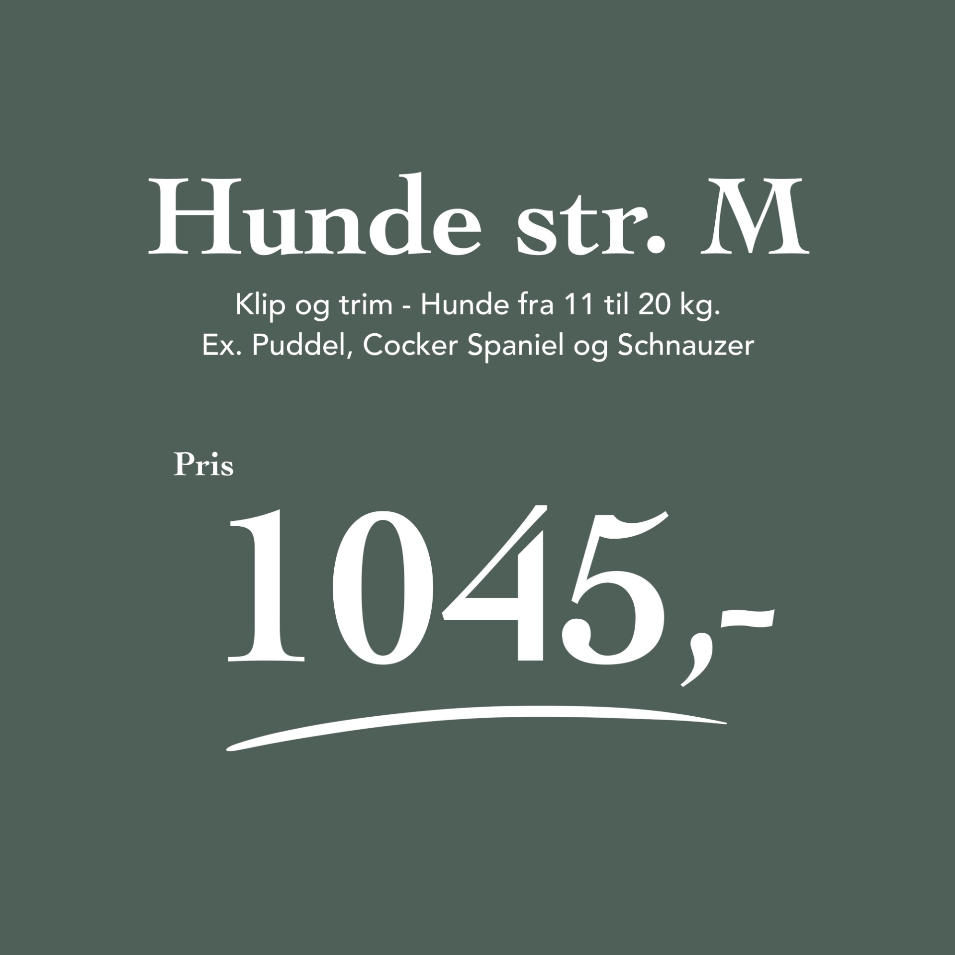 Hunde 11 - 20 kg