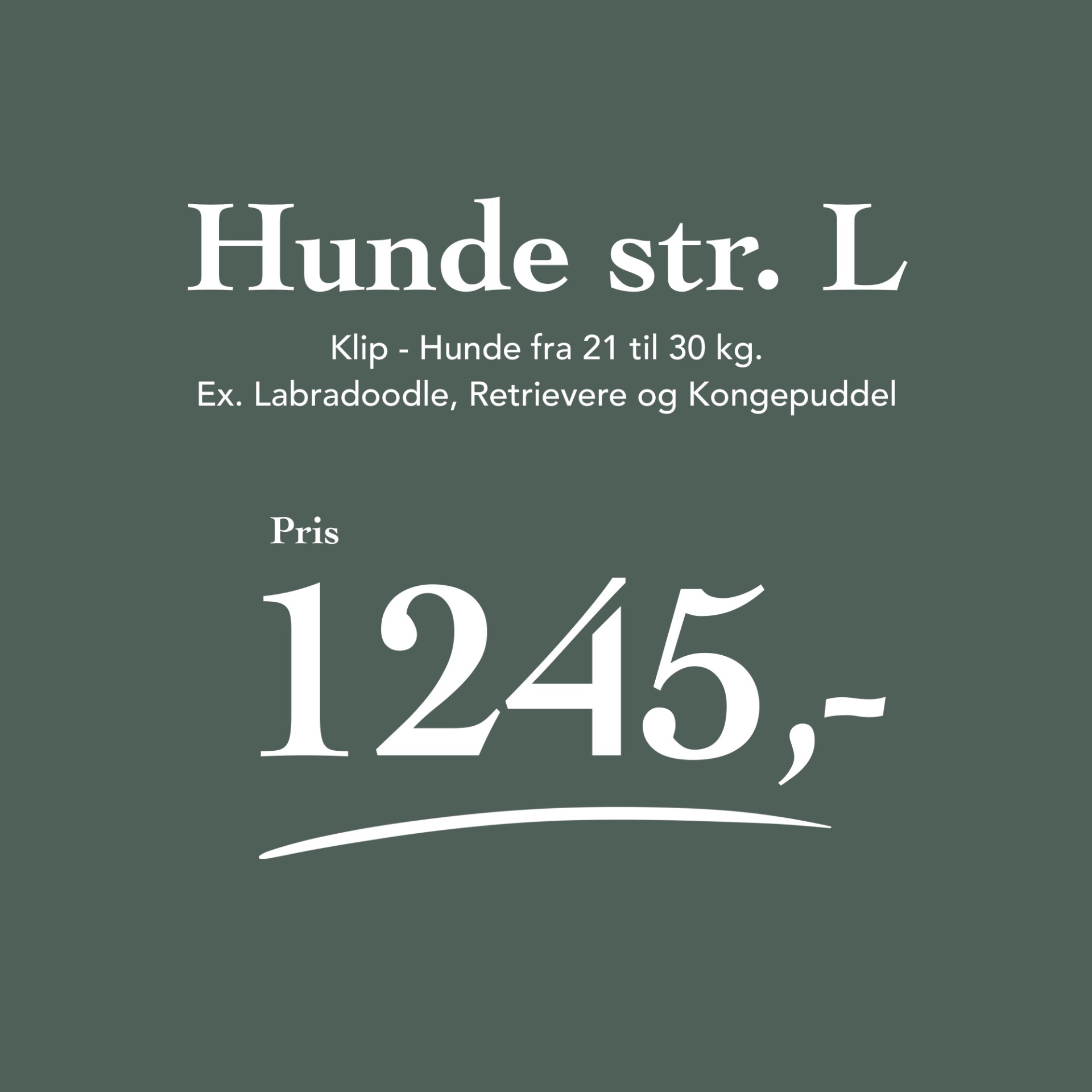 Hunde 21 - 30 kg